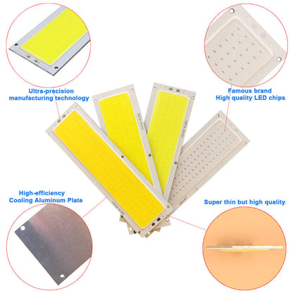 Custom COB LED Light Source Module - Aluminum/ Fiber Glass/ Flexible COB LED Chip OEM Lighting Solution