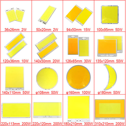 Custom COB LED Light Source Module - Aluminum/ Fiber Glass/ Flexible COB LED Chip OEM Lighting Solution