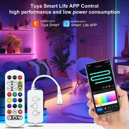 Tuya WiFi RGB SPI LED Controller DC USB Powered Works with Alexa & Google Assistant Smart 5V-24V RGB SPI Pixel LED Strip Control